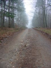 Via Regia between Fulda and Neuhof